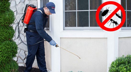 Kumlu Hamam Böceği İlaçlama böcek ilaçlama ve haşere kontrolü — ilaclama-tr.com